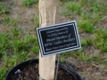 dsc_0157-428x640