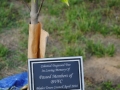 dsc_0158-428x640