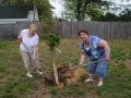 dsc_0193-640x428